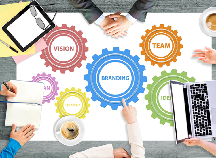 Brand-Discovery-Research